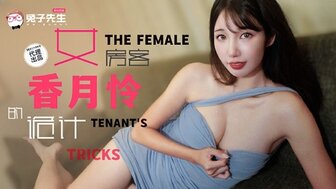 TZ141 性感房客的剧情