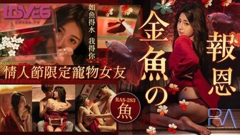 RAS283 金鱼变漂亮，做我女朋友